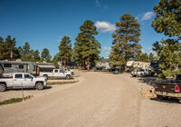 Spacious sites with plenty of trees.